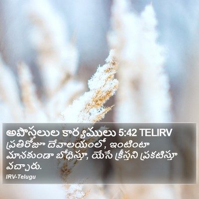 అపొస్తలుల కార్యములు 5:42 TELIRV Bible Verse Image