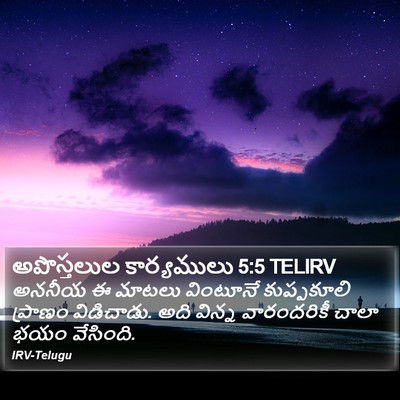 అపొస్తలుల కార్యములు 5:5 TELIRV Bible Verse Image