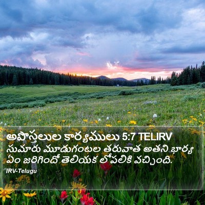 అపొస్తలుల కార్యములు 5:7 TELIRV Bible Verse Image