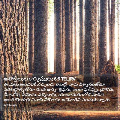అపొస్తలుల కార్యములు 6:5 TELIRV Bible Verse Image