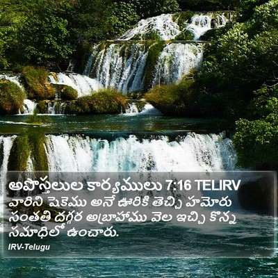 అపొస్తలుల కార్యములు 7:16 TELIRV Bible Verse Image