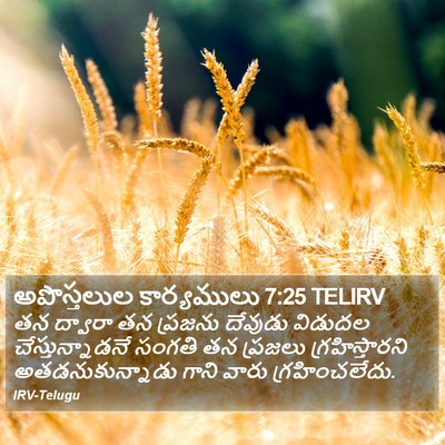 అపొస్తలుల కార్యములు 7:25 TELIRV Bible Verse Image