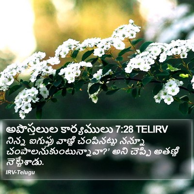 అపొస్తలుల కార్యములు 7:28 TELIRV Bible Verse Image