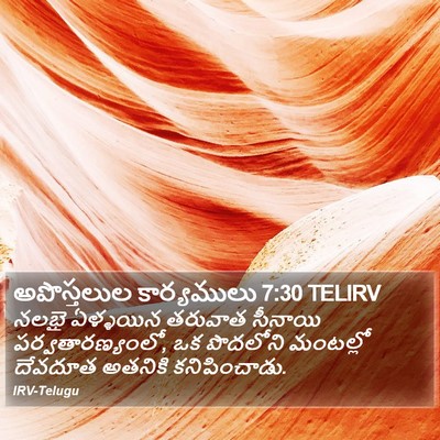 అపొస్తలుల కార్యములు 7:30 TELIRV Bible Verse Image