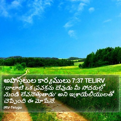 అపొస్తలుల కార్యములు 7:37 TELIRV Bible Verse Image