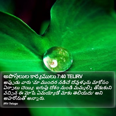అపొస్తలుల కార్యములు 7:40 TELIRV Bible Verse Image