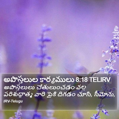 అపొస్తలుల కార్యములు 8:18 TELIRV Bible Verse Image