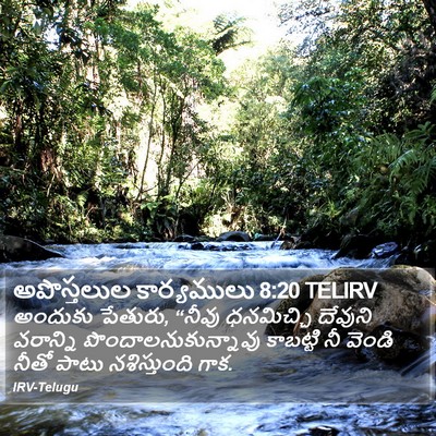 అపొస్తలుల కార్యములు 8:20 TELIRV Bible Verse Image