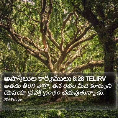 అపొస్తలుల కార్యములు 8:28 TELIRV Bible Verse Image