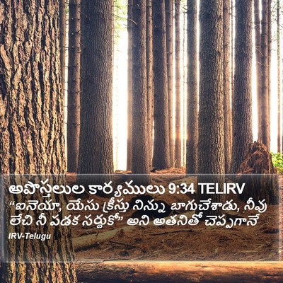 అపొస్తలుల కార్యములు 9:34 TELIRV Bible Verse Image