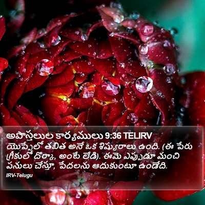 అపొస్తలుల కార్యములు 9:36 TELIRV Bible Verse Image