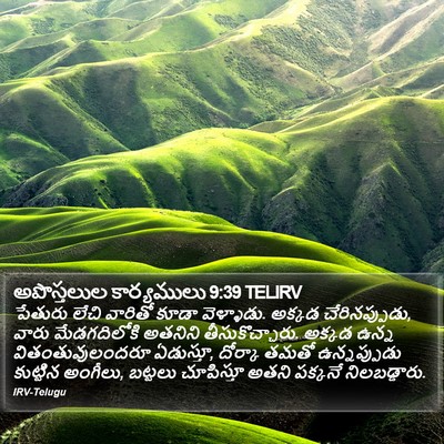 అపొస్తలుల కార్యములు 9:39 TELIRV Bible Verse Image