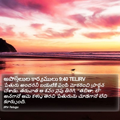 అపొస్తలుల కార్యములు 9:40 TELIRV Bible Verse Image