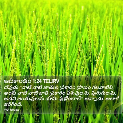 ఆదికాండం 1:24 TELIRV Bible Verse Image