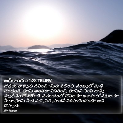 ఆదికాండం 1:28 TELIRV Bible Verse Image