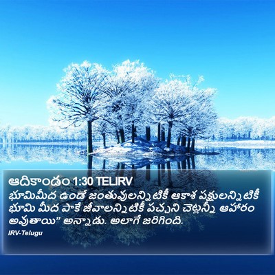 ఆదికాండం 1:30 TELIRV Bible Verse Image