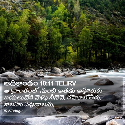 ఆదికాండం 10:11 TELIRV Bible Verse Image
