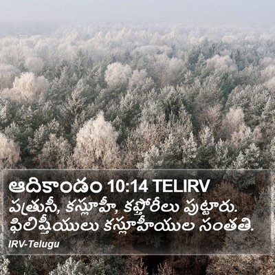ఆదికాండం 10:14 TELIRV Bible Verse Image