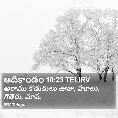 ఆదికాండం 10:23 TELIRV Bible Verse Image