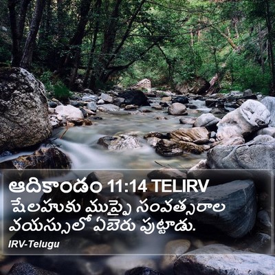 ఆదికాండం 11:14 TELIRV Bible Verse Image