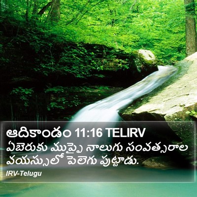 ఆదికాండం 11:16 TELIRV Bible Verse Image