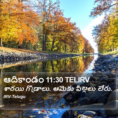 ఆదికాండం 11:30 TELIRV Bible Verse Image