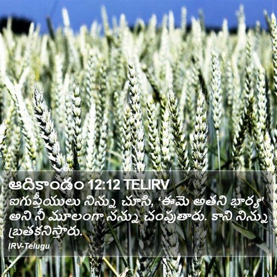 ఆదికాండం 12:12 TELIRV Bible Verse Image