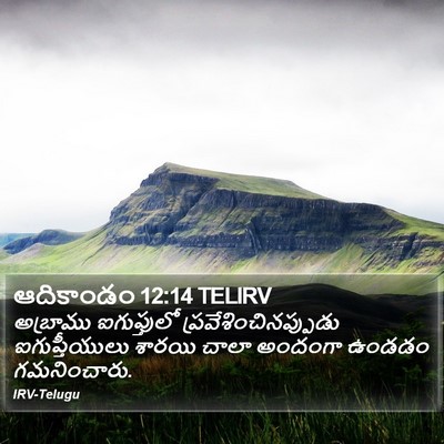 ఆదికాండం 12:14 TELIRV Bible Verse Image