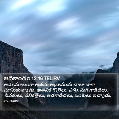 ఆదికాండం 12:16 TELIRV Bible Verse Image