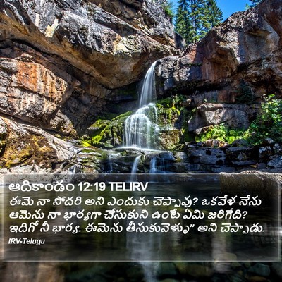ఆదికాండం 12:19 TELIRV Bible Verse Image