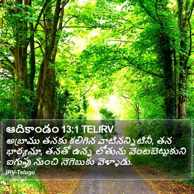 ఆదికాండం 13:1 TELIRV Bible Verse Image