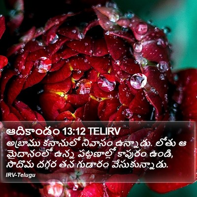 ఆదికాండం 13:12 TELIRV Bible Verse Image