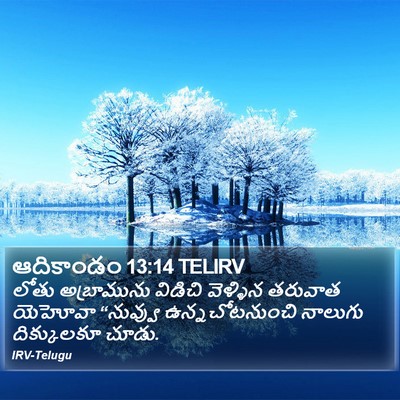ఆదికాండం 13:14 TELIRV Bible Verse Image
