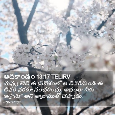 ఆదికాండం 13:17 TELIRV Bible Verse Image