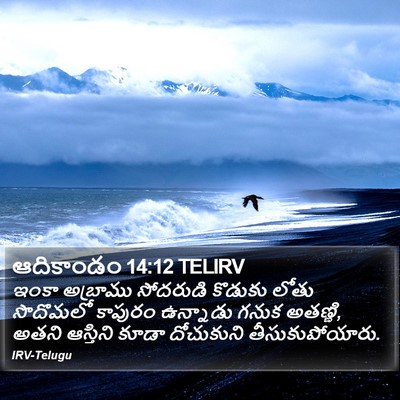 ఆదికాండం 14:12 TELIRV Bible Verse Image