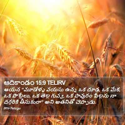 ఆదికాండం 15:9 TELIRV Bible Verse Image