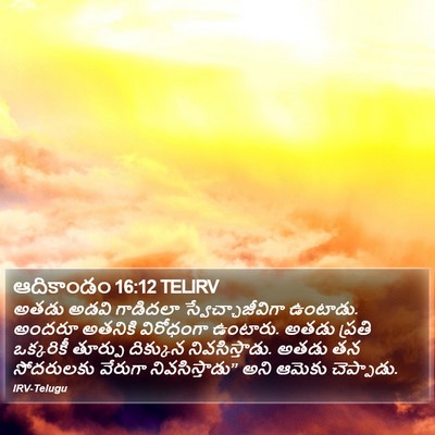 ఆదికాండం 16:12 TELIRV Bible Verse Image