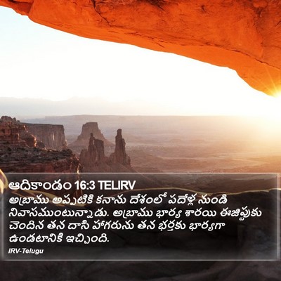 ఆదికాండం 16:3 TELIRV Bible Verse Image