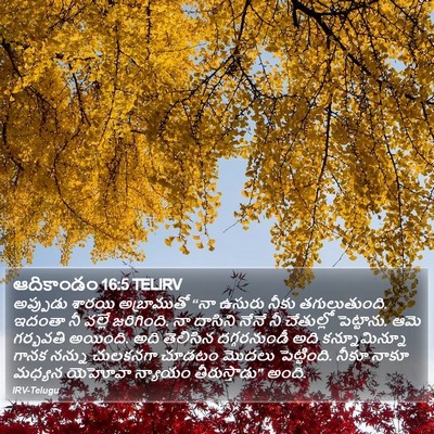ఆదికాండం 16:5 TELIRV Bible Verse Image