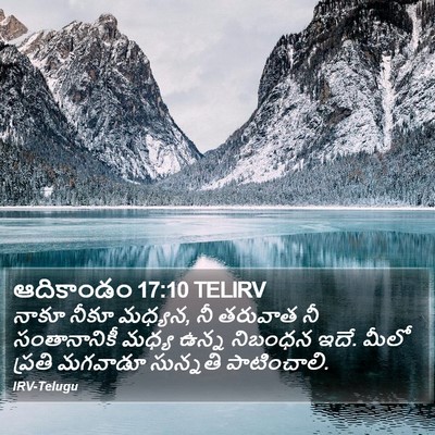 ఆదికాండం 17:10 TELIRV Bible Verse Image