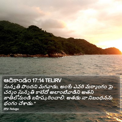 ఆదికాండం 17:14 TELIRV Bible Verse Image