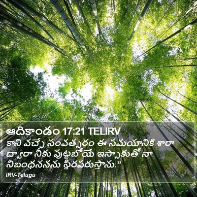 ఆదికాండం 17:21 TELIRV Bible Verse Image