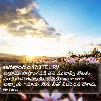 ఆదికాండం 17:3 TELIRV Bible Verse Image