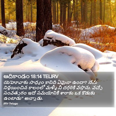 ఆదికాండం 18:14 TELIRV Bible Verse Image