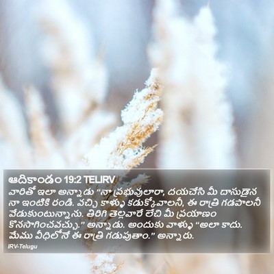 ఆదికాండం 19:2 TELIRV Bible Verse Image