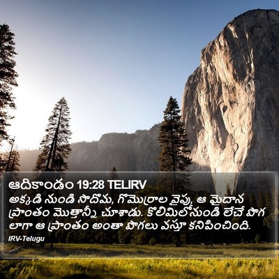 ఆదికాండం 19:28 TELIRV Bible Verse Image