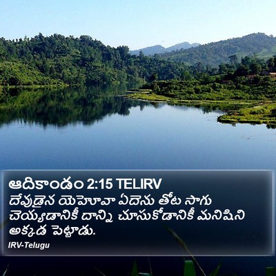 ఆదికాండం 2:15 TELIRV Bible Verse Image