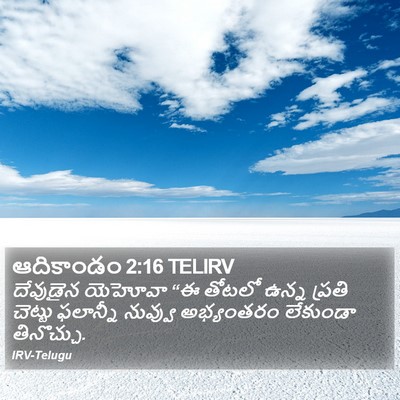 ఆదికాండం 2:16 TELIRV Bible Verse Image