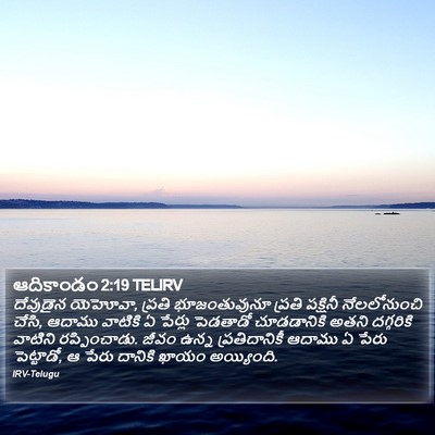 ఆదికాండం 2:19 TELIRV Bible Verse Image
