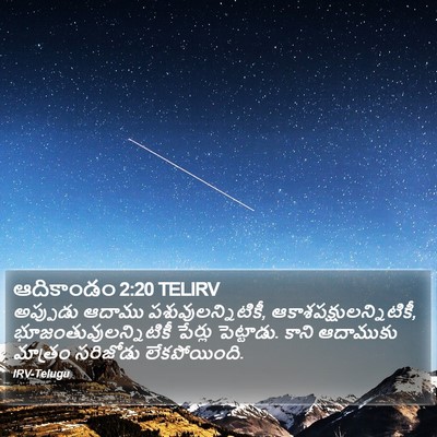 ఆదికాండం 2:20 TELIRV Bible Verse Image